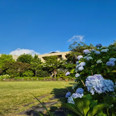 Jeju Sanlok2 Pension Отели рядом с достопримечательностью «Парк лабиринтов из зеленого чая»