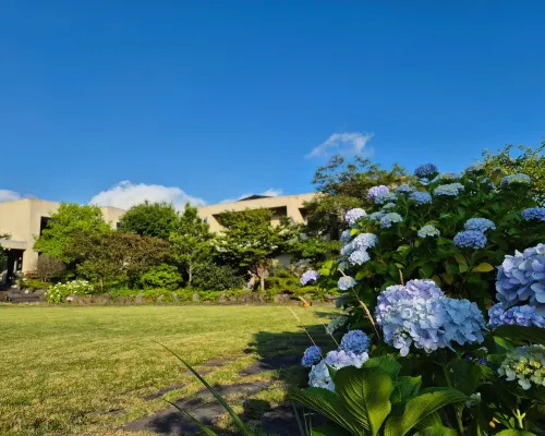 Jeju Sanlok2 Pension Отели рядом с достопримечательностью «Музей Понте»