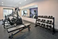 Holiday Inn Express & Suites YOUNGSTOWN N (WARREN/NILES) by IHG - Fitnessstudio