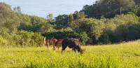 Farm stay in Wilderness - 3-Star
