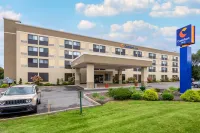 Comfort Inn Binghamton I-81 - Wifi