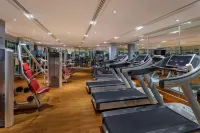 ITC Maurya, a Luxury Collection Hotel, New Delhi - Gym