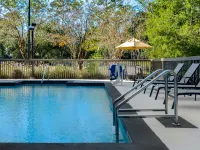 Hampton Inn Tallahassee-Central Hotels near Optimist Park