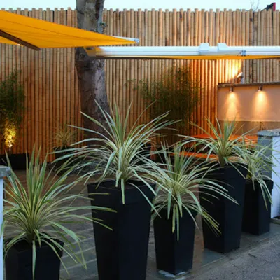 Hotel Bosco Hotels near Kingston University