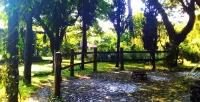 Hacienda Santa Rosalia Parador Hipico - Pet friendly