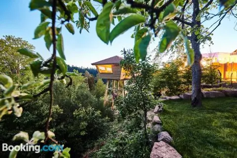 Hotel Kronelamm im Schwarzwald
