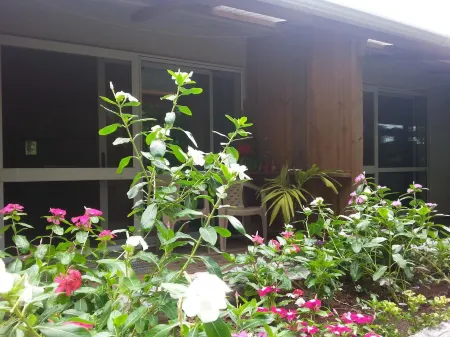 Gecko Lodge Fiji
