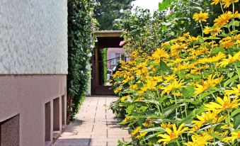 a beautiful garden with yellow flowers and greenery , leading to a wooden walkway in the background at Anita