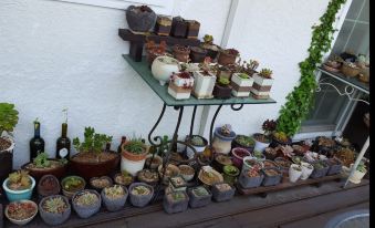 Namhae Cello Pension