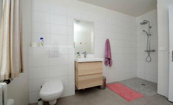 Arsalir Guesthouse Vik B&B