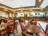 Comfort Inn & Suites Henderson - Las Vegas Hotels near Henderson