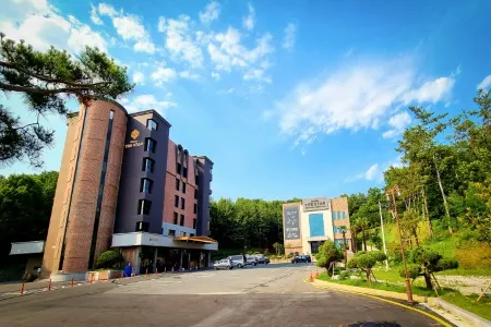 Hotel the Star Отели в г. Йонгван