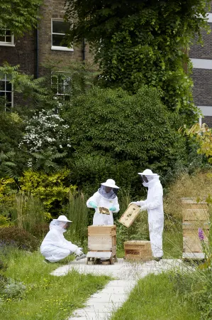 The Montague on the Gardens