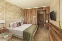 Hotel Carbona Thermal Spa Hotels in Zalacsany