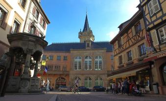 Vvf Plaine d'Alsace Obernai Strasbourg