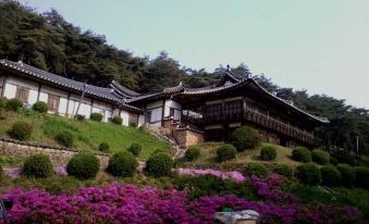 4. 안동 고택 이상..