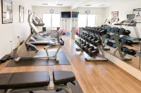 Holiday Inn Express & Suites LEXINGTON NW-THE VINEYARD by IHG - Gym