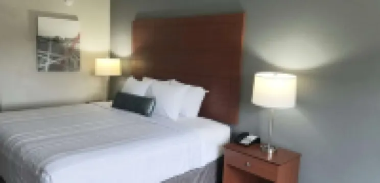 Best Western Lexington Inn