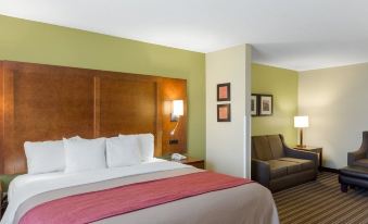 Comfort Inn & Suites Fayetteville-University Area