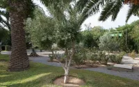 Mediterranee Hammamet- Families and Couples Only
