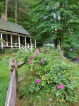 The Cabins at Healing Springs Hotel di Helton