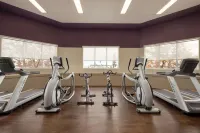 埃德蒙頓機場皇家璀蔓臻選溫德姆酒店 - 健身室/gym room
