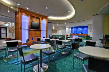 SpringHill Suites Baton Rouge North/Airport Отели в г. Браунфилдс