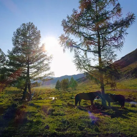 Dream Adventure Mongolia