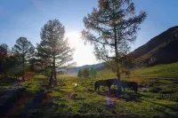 Dream Adventure Mongolia - Pensions
