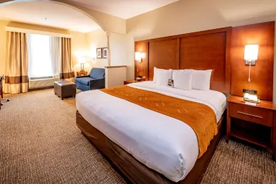 Comfort Suites Near Texas Medical Center - NRG Stadium Hotels in Harris County