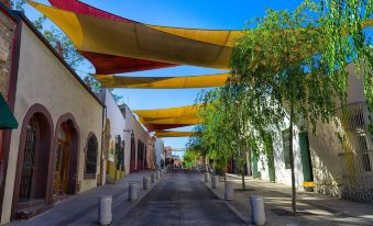 Antique Hotel Boutique Barrio Antiguo