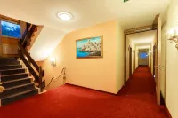 Schwarzwaldhotel Sonne - วิวภูเขา