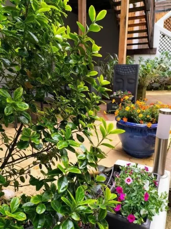 Hotel Restaurant Herard