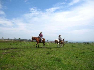 ホテル周辺 レゾネイトクラブくじゅうの写真