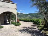 Valpolicella Hills