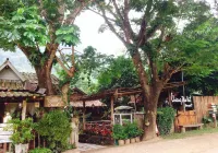 Chiang Dao Hut