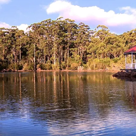 Forest Lodge Resort