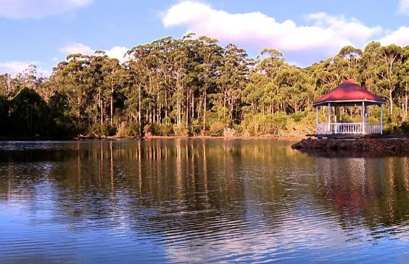 森林洛奇度假村