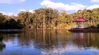 Forest Lodge Resort Hotels in 