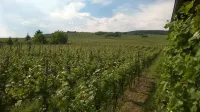 Hotel Pohl Hotels in Traben-Trarbach