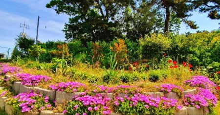 Gochang Four Season Farm Stay Pension Отели рядом с достопримечательностью «Chan Yun Temple»