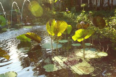 ホテル周辺 ヴィアン ターペー リゾートの写真