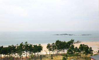 4. 보령 아일랜드 ..