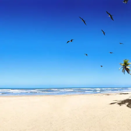 Sanibel Island Beach Resort