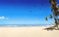 薩尼貝爾島海灘度假村 - 沙灘
