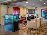 Best Western Kennewick Tri-Cities Center Hotel Hôtels à : Kennewick