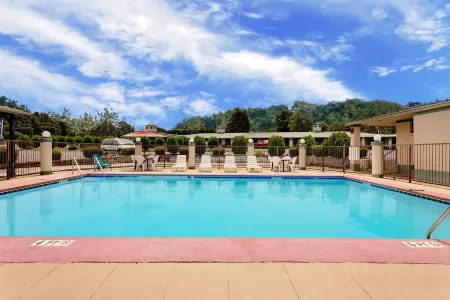 Knights Inn Madison Heights Отели рядом с достопримечательностью «Lazy Days Winery»