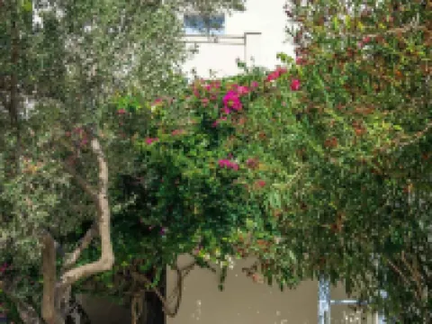 Armonia Bay Hotel Hotels in Vathi