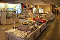 Midagahara Hotel Hotels in Tateyama