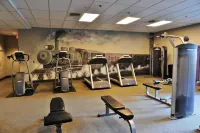 Great Spacious Apartment - Free Parking! Hotels in 